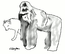 wolf_gorilla