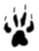 paw print